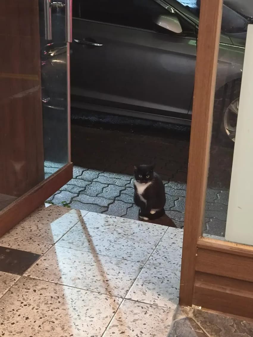 게시글 이미지 1