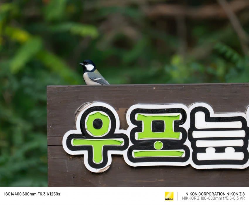 게시글 이미지 1
