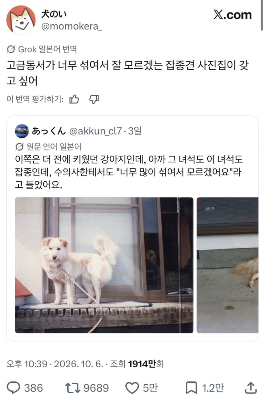게시글 이미지 1