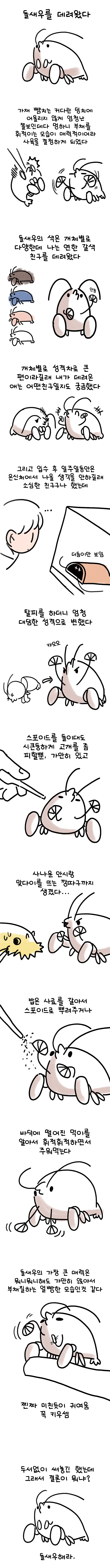 게시글 이미지 1